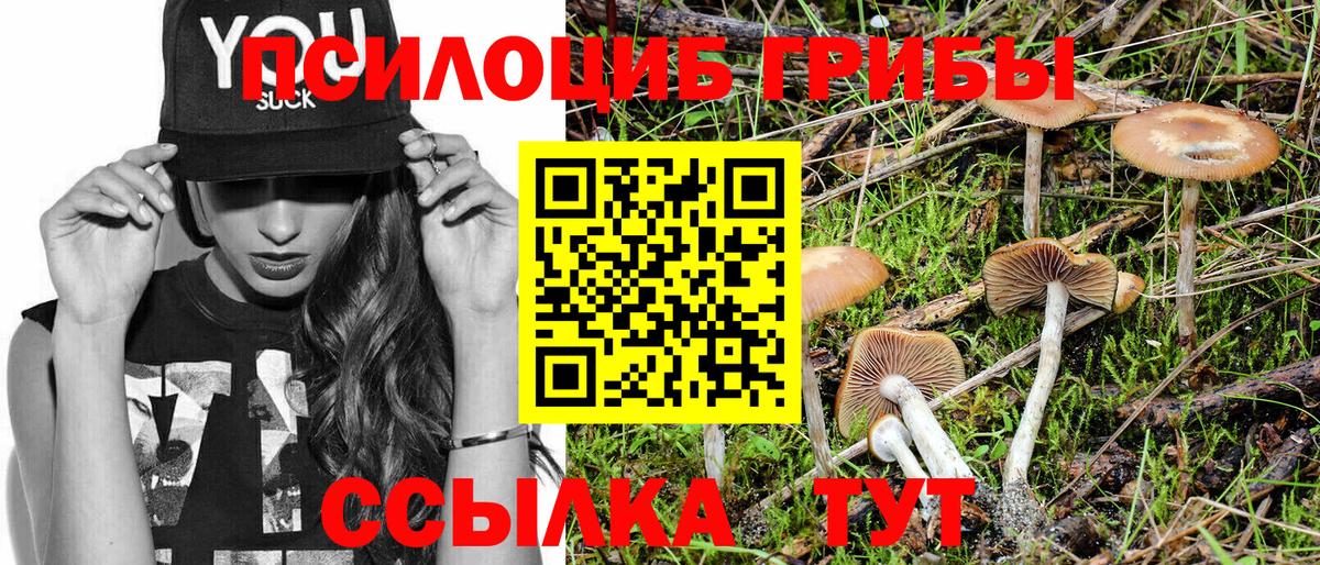 Псилоцибиновые грибы Psilocybine cubensis Карасук